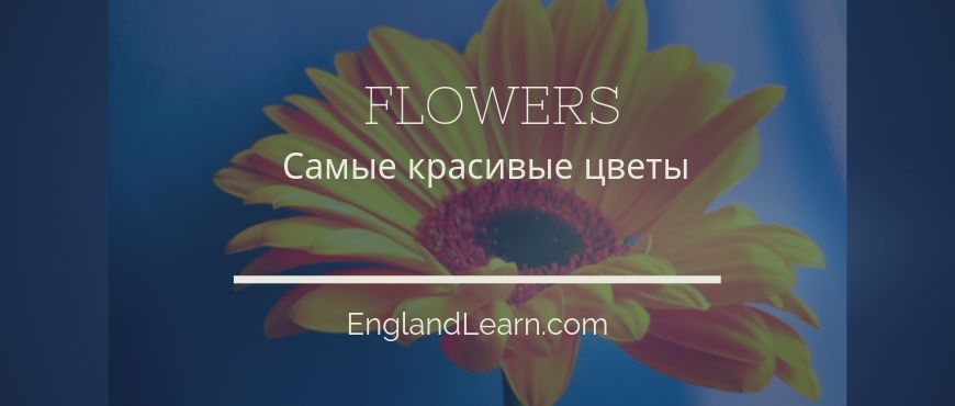 Flowers перевод песни на русский