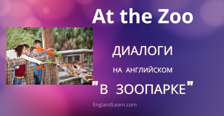 Диалог в зоопарке на английском